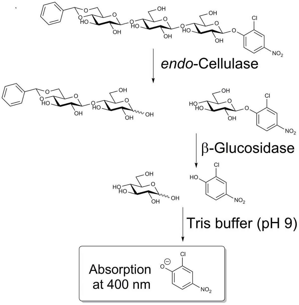 内切纤维素酶 检测试剂盒图片