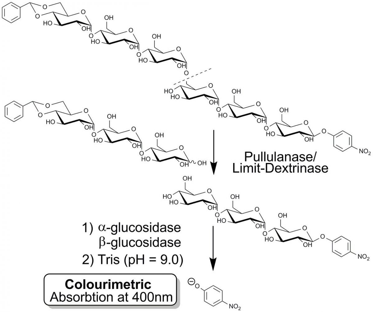 普鲁兰酶/极限醍醐精检测试剂盒图片