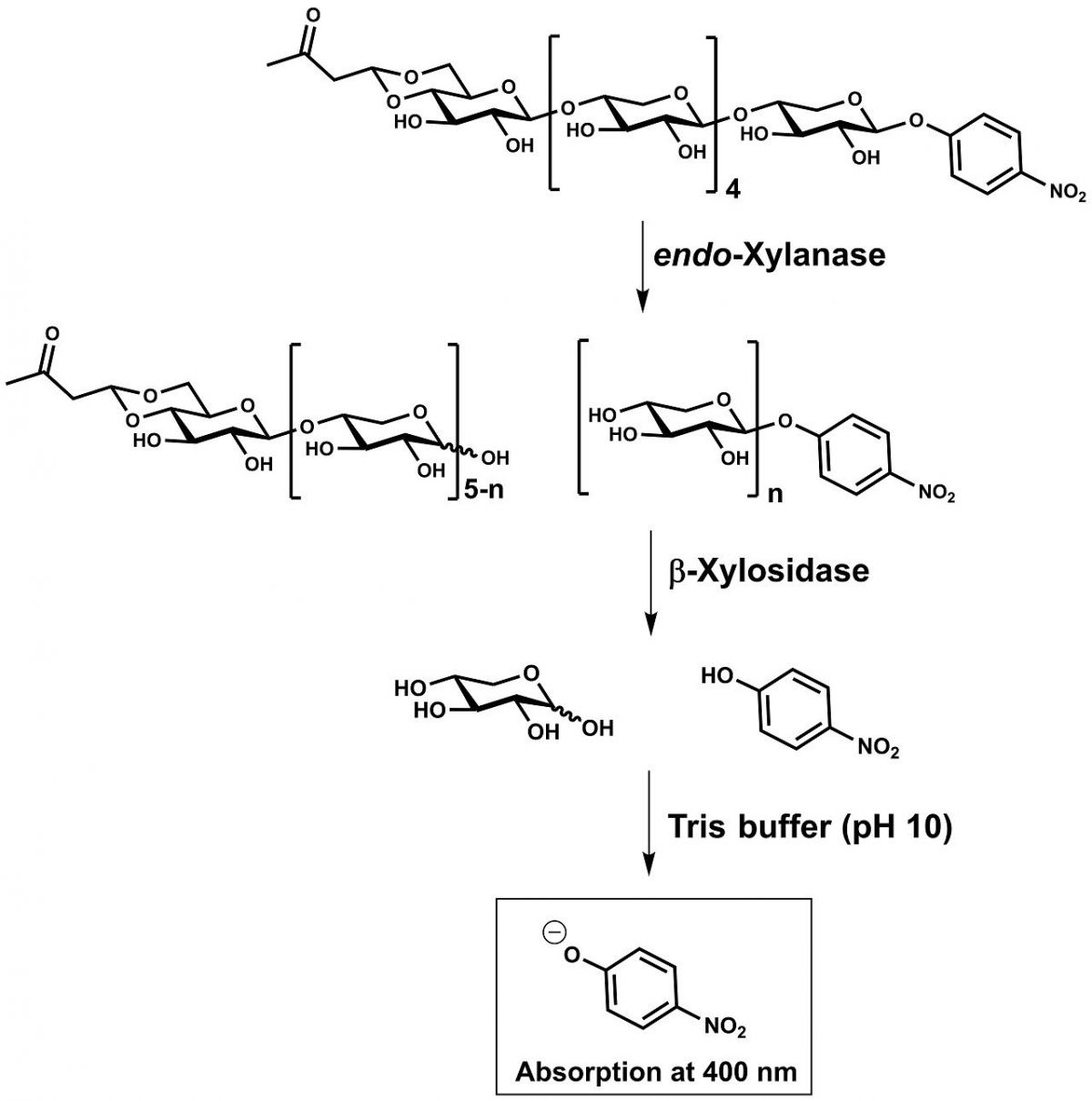 内切木聚糖酶测定试剂盒(xylx6法)图片