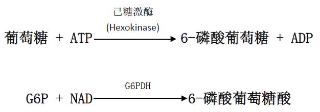 葡萄糖(HK)检测试剂盒原理